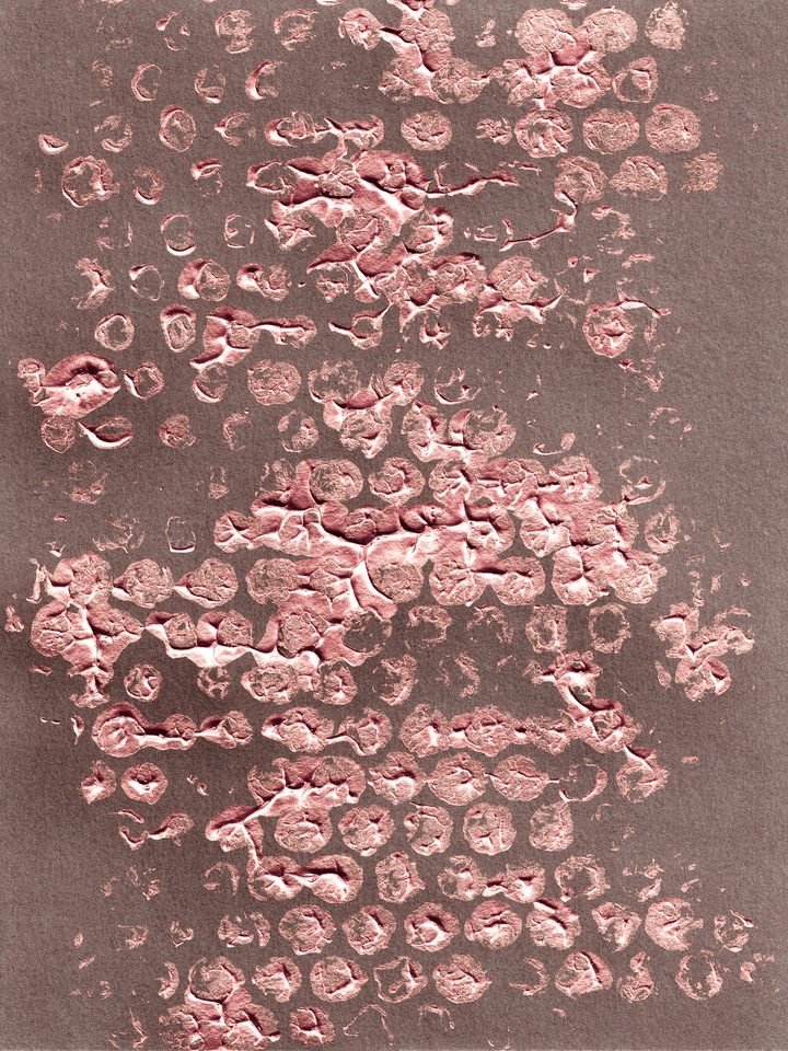 BLOTS AND DOTS 2 METALLIC ROSE GOLD ABSTRACT PATTERN (DIPTYCH)