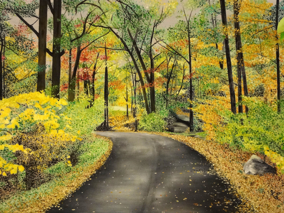 Lake Scranton Fall Walk