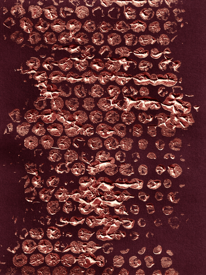 BLOTS AND DOTS 1 METALLIC BURGUNDY RED ABSTRACT PATTERN (DIPTYCH)