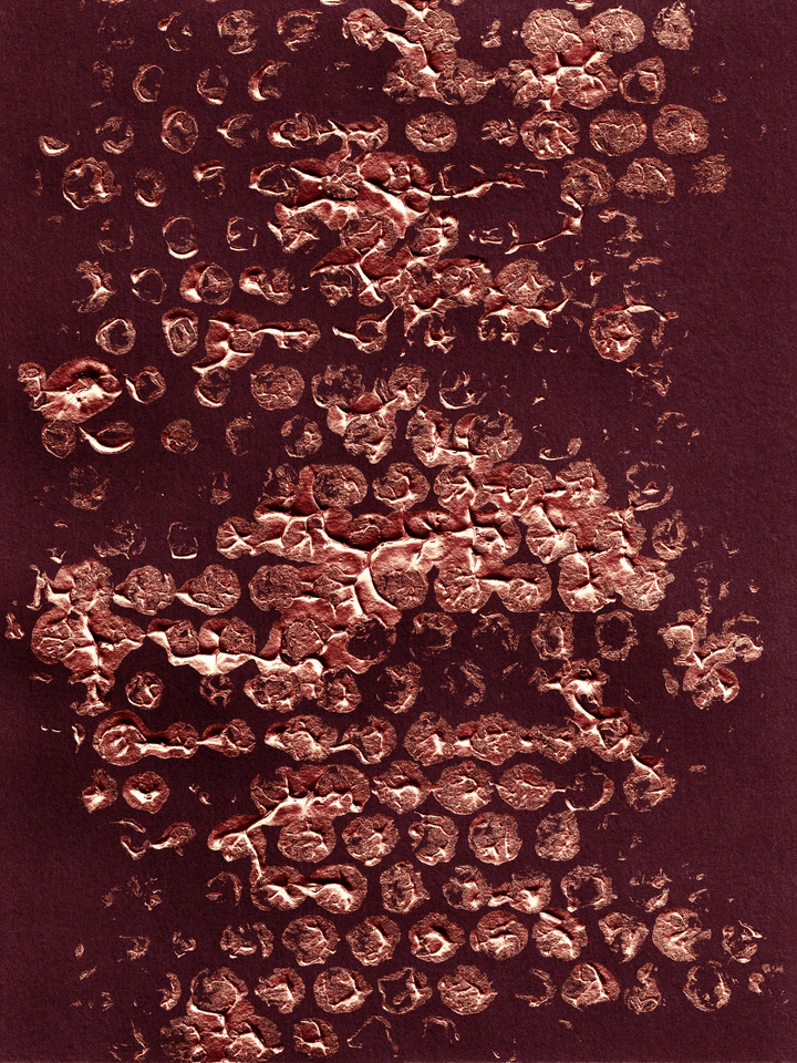 BLOTS AND DOTS 2 METALLIC BURGUNDY RED ABSTRACT PATTERN (DIPTYCH)