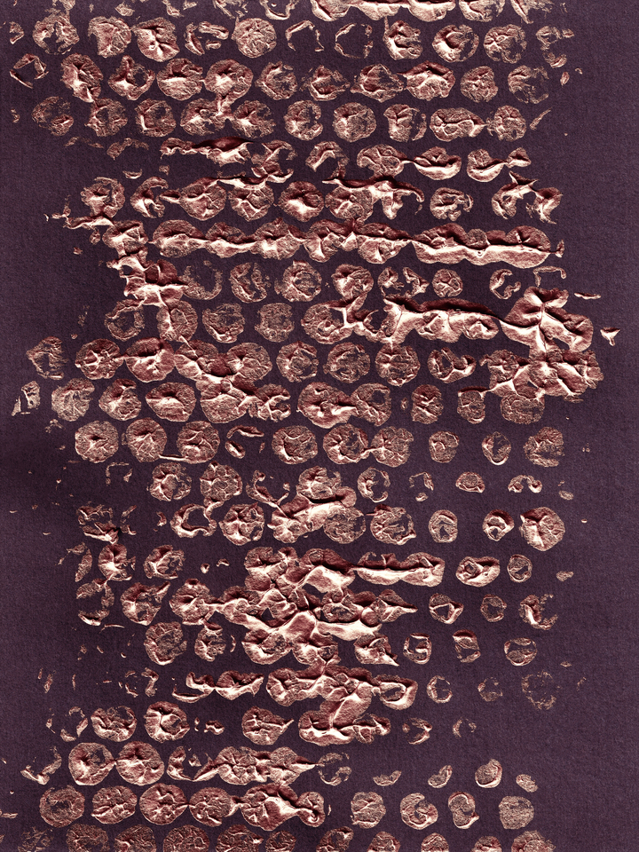 BLOTS AND DOTS 1 METALLIC ROSE GOLD PLUM PURPLE ABSTRACT PATTERN (DIPTYCH)