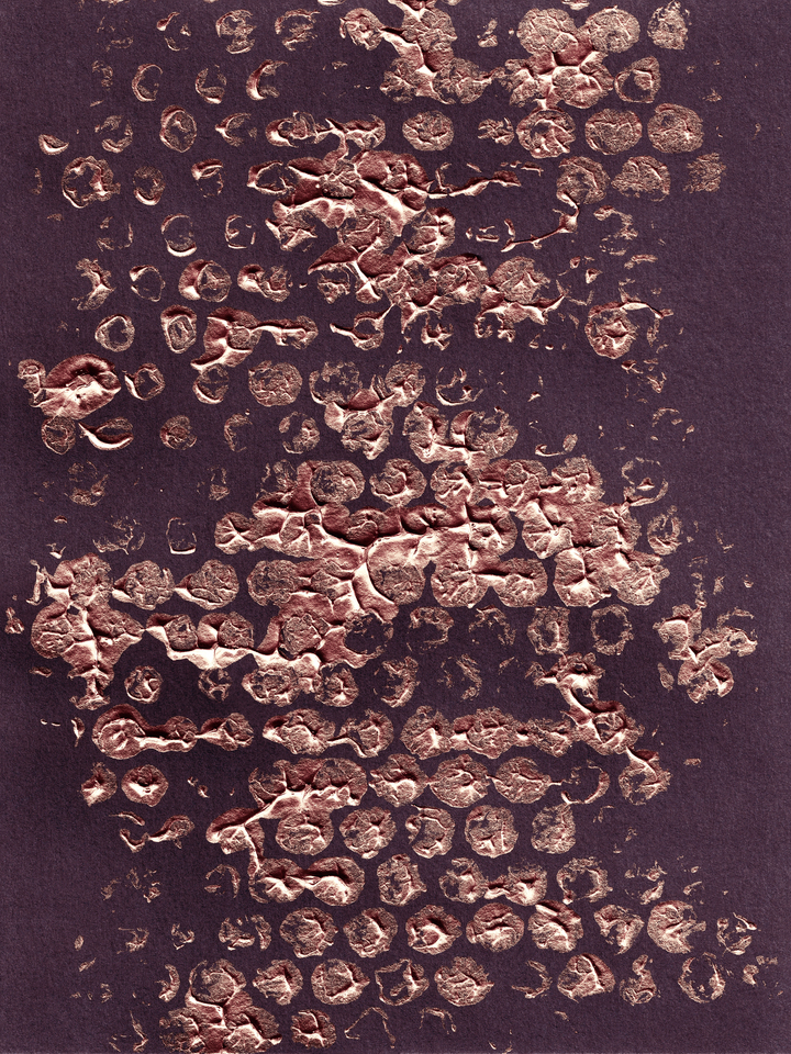BLOTS AND DOTS 2 METALLIC ROSE GOLD PLUM PURPLE ABSTRACT PATTERN (DIPTYCH)