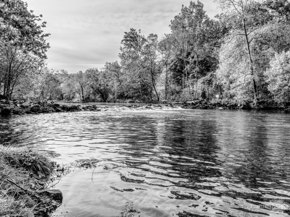 Fall Fishing And Cascades Bennett Spring Grayscale