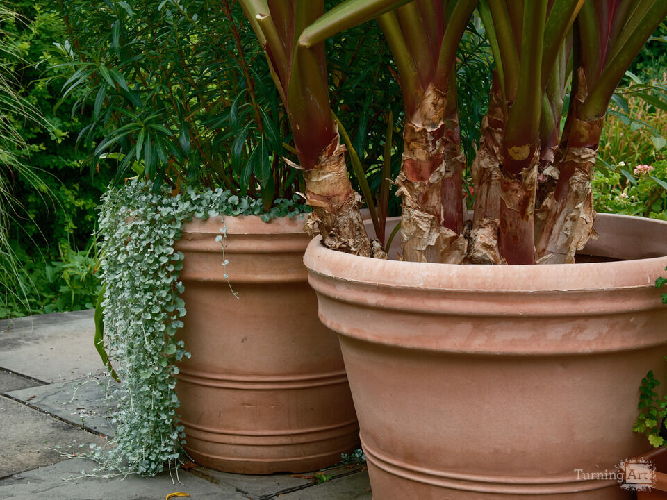 Clay Planters at the Gardens