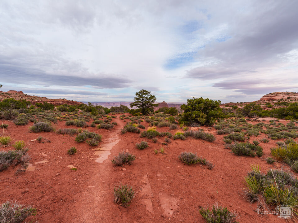 Trail To Holeman Spring Canyon Canyonlands