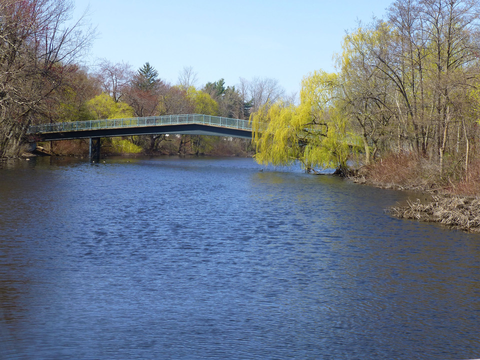 Spring on the Charles River
