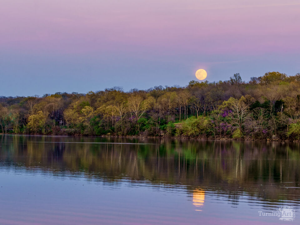 Full Pink Super Moon At Dusk