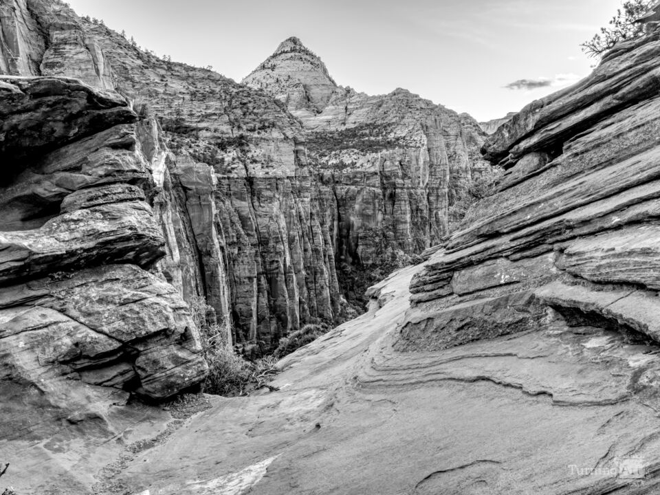Zion Canyon Overlook Mountain Over Rocks Grayscale