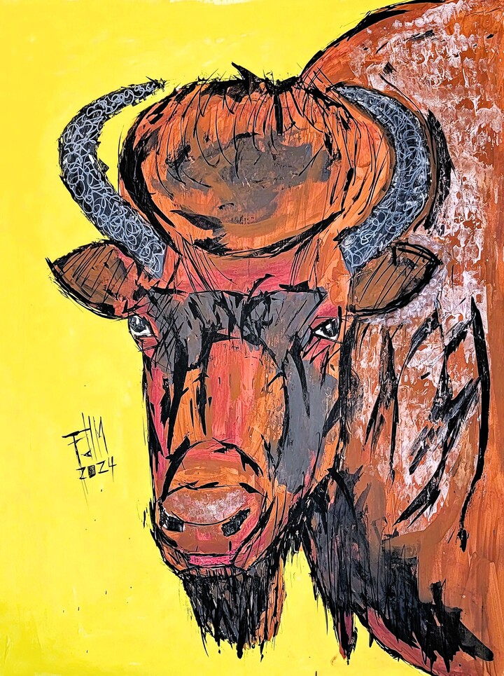 North American Bison