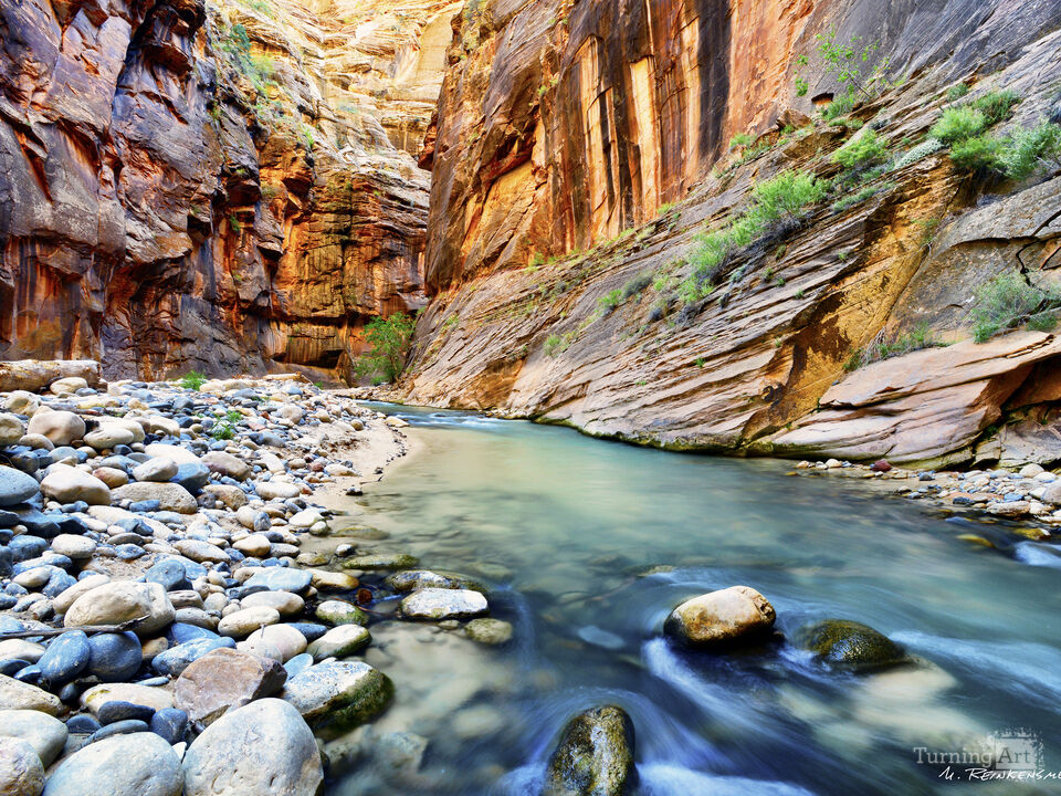 Virgin Narrows Bend, Zion National Park