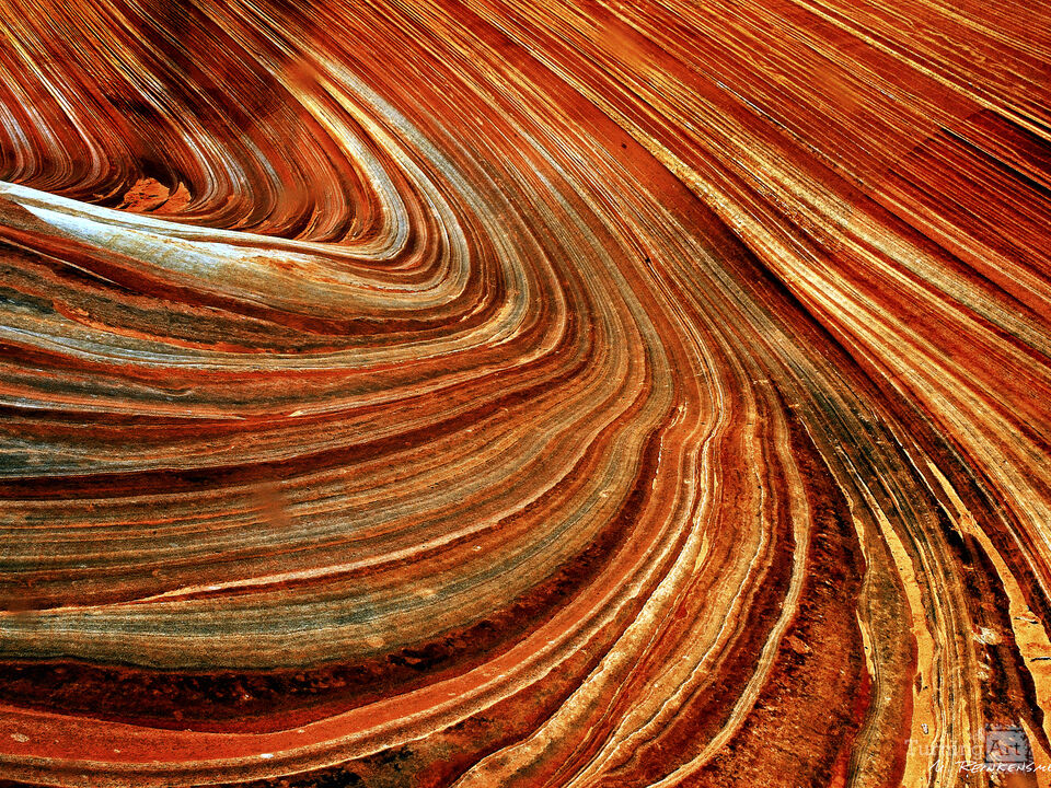 Nature's Grand Design