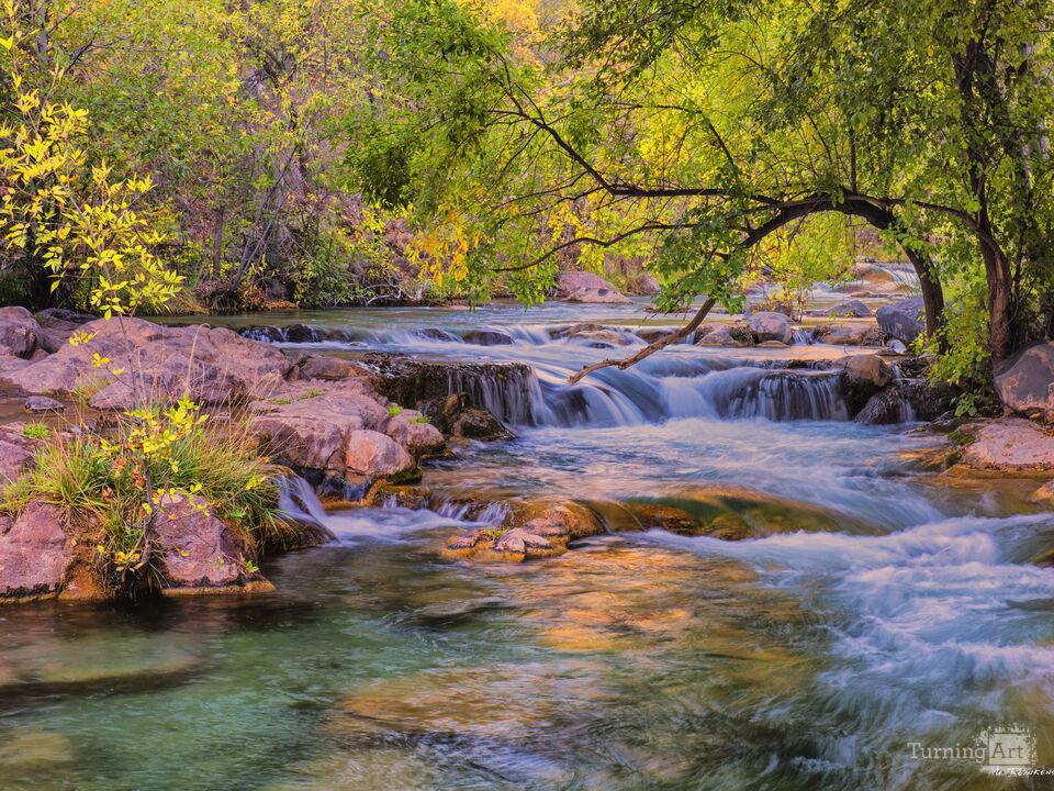 Fossil Creek: Clear, Refreshing Spring Waters 