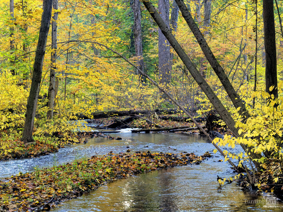 Midwest Hospitality: Along a Meandering River
