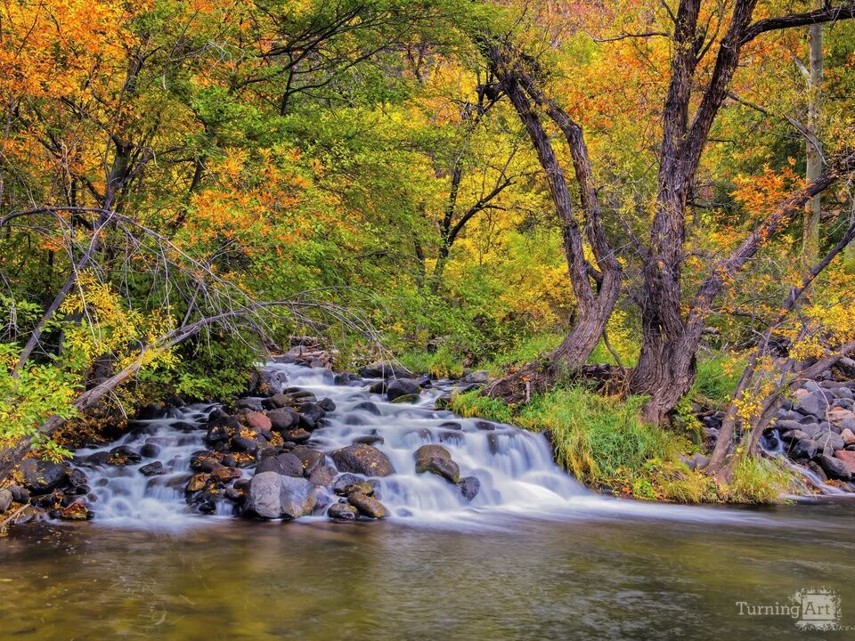Autumn Cascade, Oak Creek Canyon, Sedona, Arizona