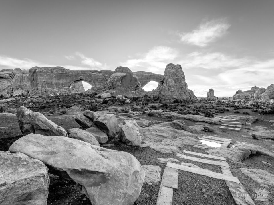 Arches Windows Section Path Grayscale