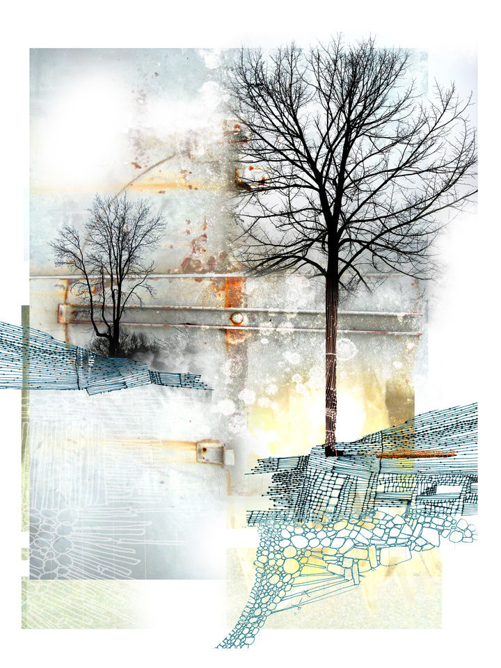 The Giddy Edge of Light