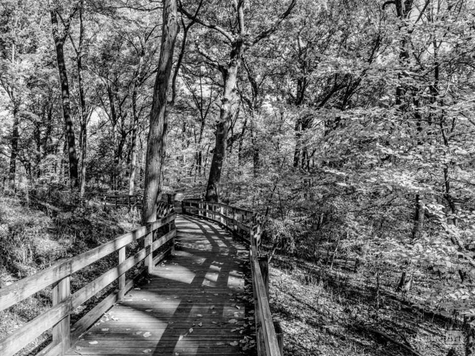 Autumn Fontenelle Walkway Grayscale