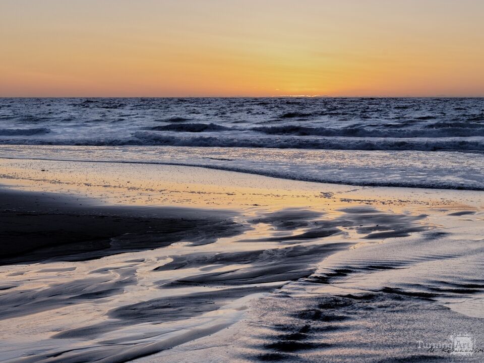 Just in Time, Point Reyes National Seashore