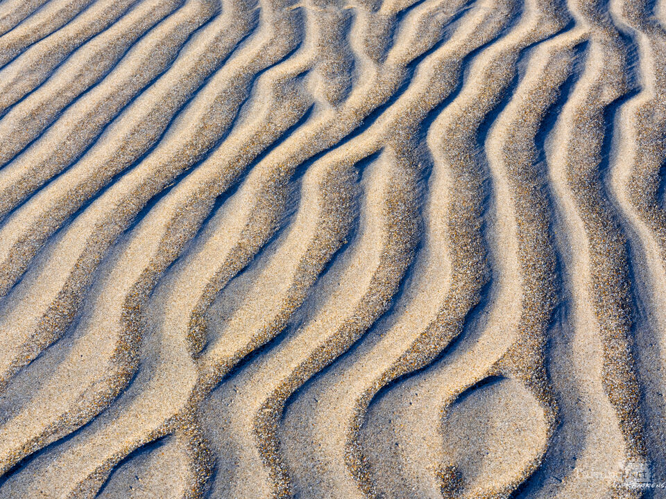 Patterns in Nature, Point Reyes National Seashore