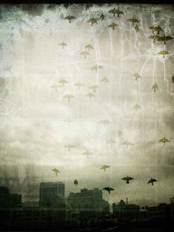 Some Morning I Will Remember You