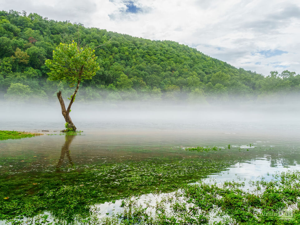 Mystical Fog Over Lake Taneycomo