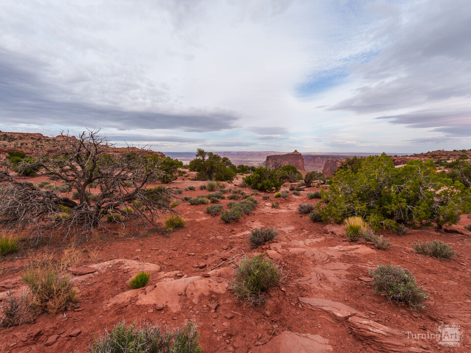 Desert Vista At Holeman Spring Canyon