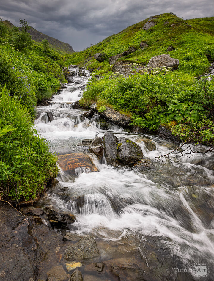 Wild Hatcher Pass