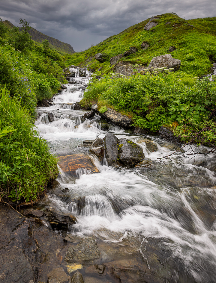 Wild Hatcher Pass