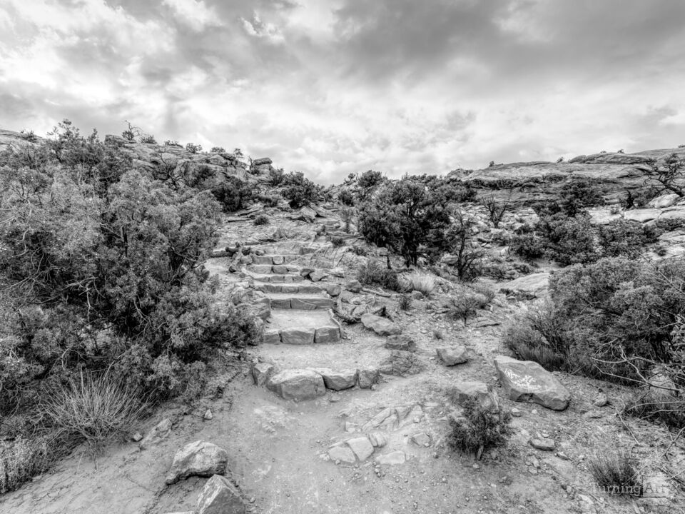 Trail Steps To Upheaval Dome Grayscale