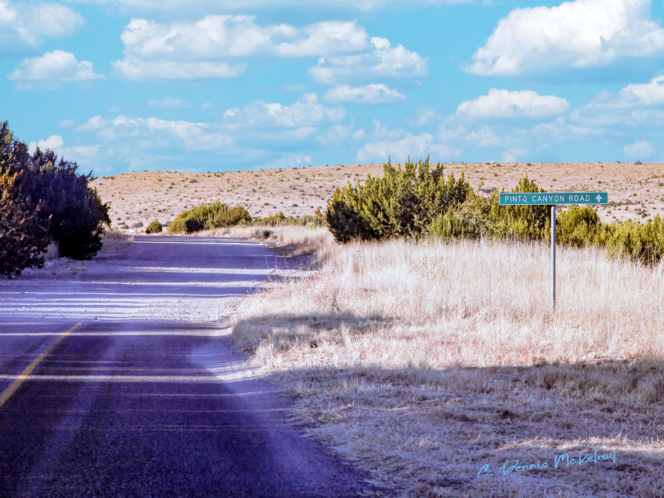 Pinto Canyon Road