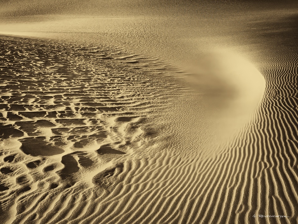 Dune Sand Patterns Aglow