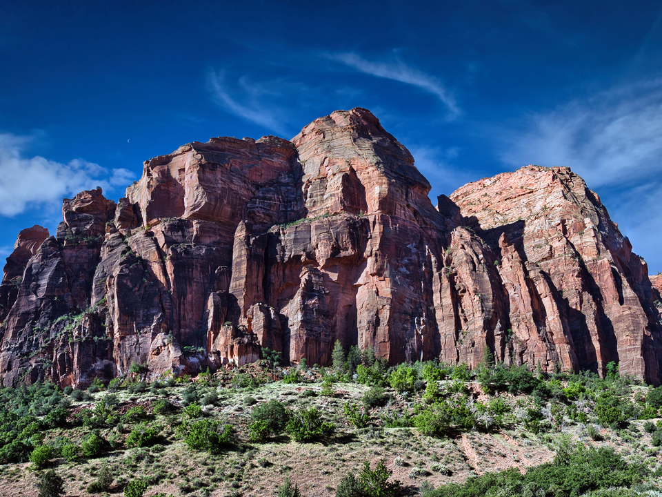 Zion National Park Panorama