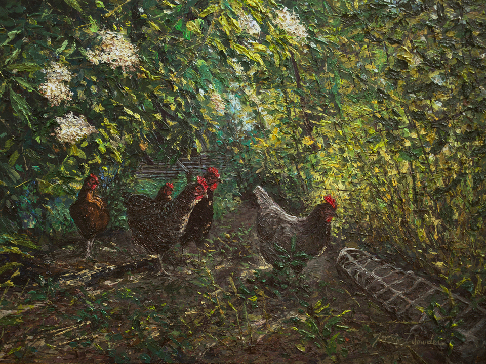 Beneath the Elderflower