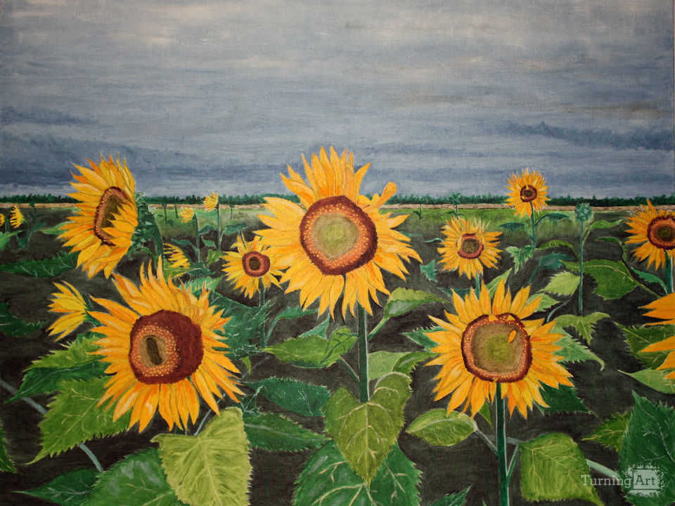 Stormy Sunflowers