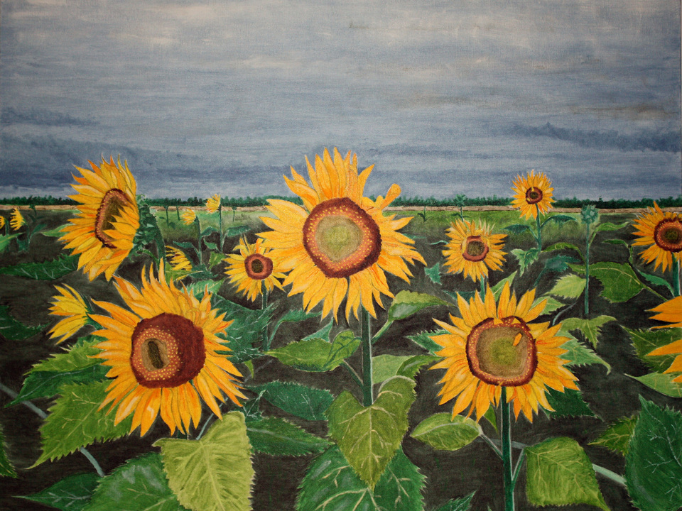 Stormy Sunflowers