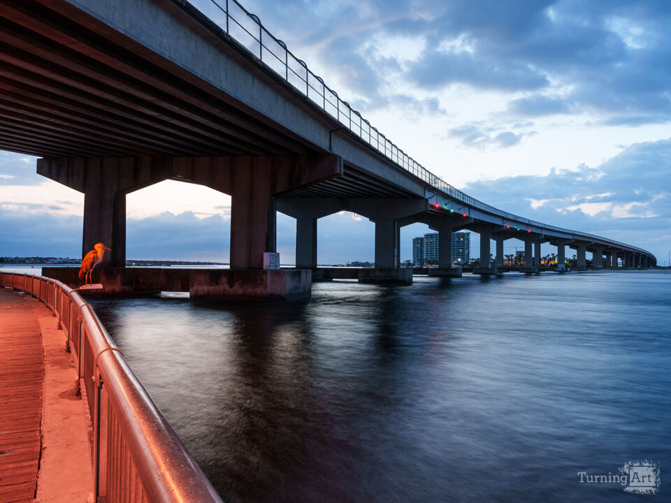 Heron Fishing By Perdido Bridge At Dawn