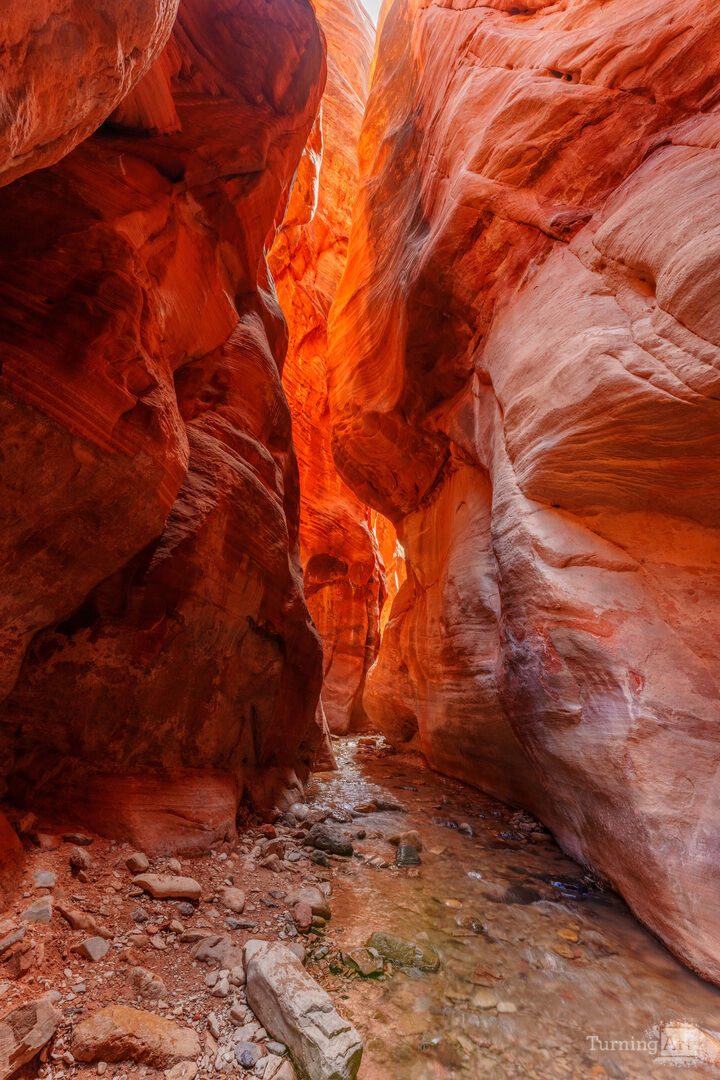 Kanarra Slot Canyon Golden Light