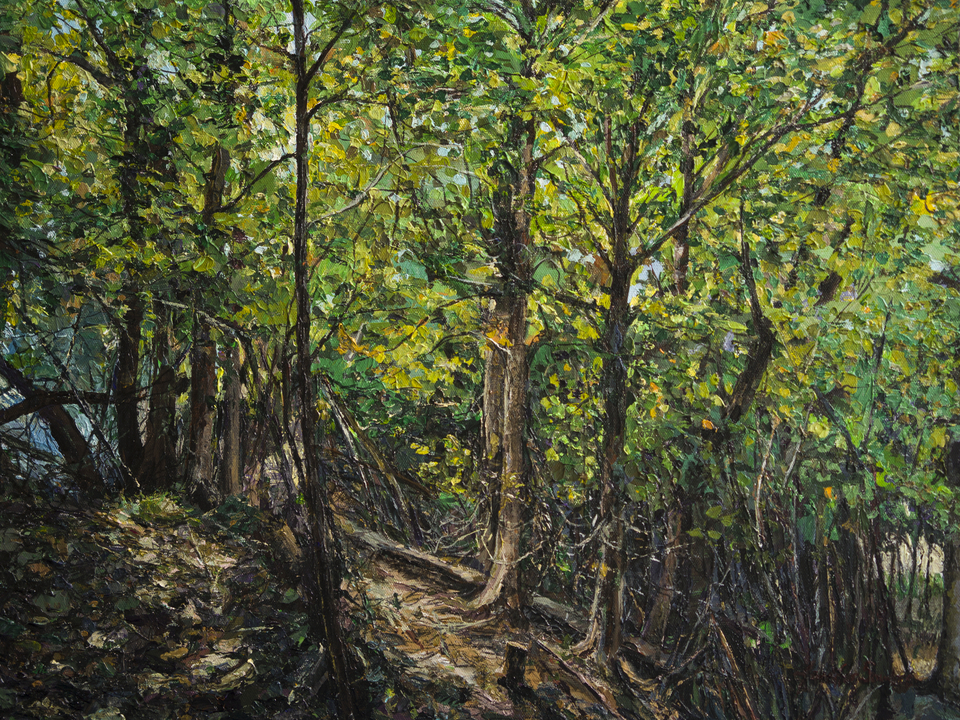 Beauty Among the Brambles