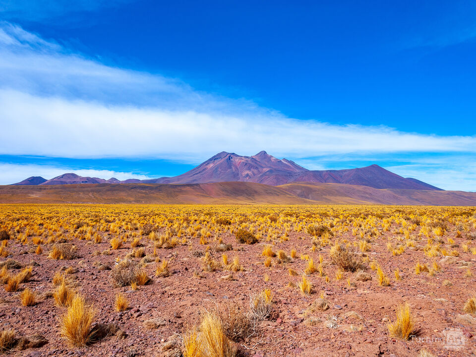Atacama desert