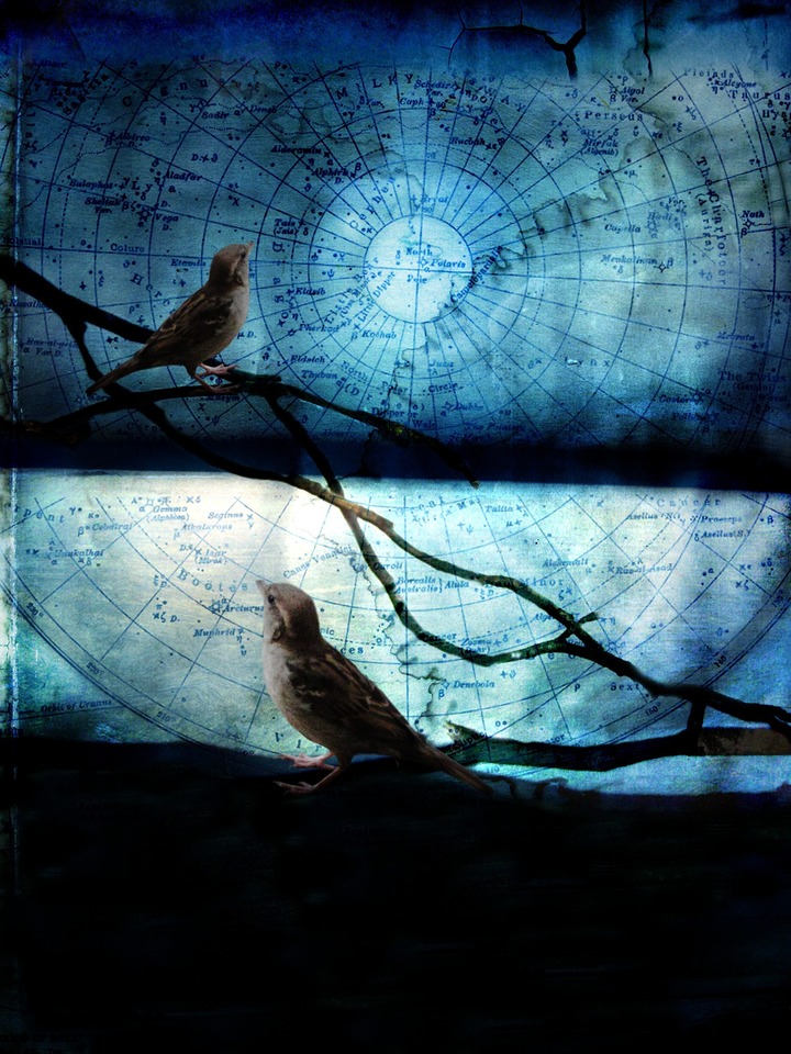 Double Constellation