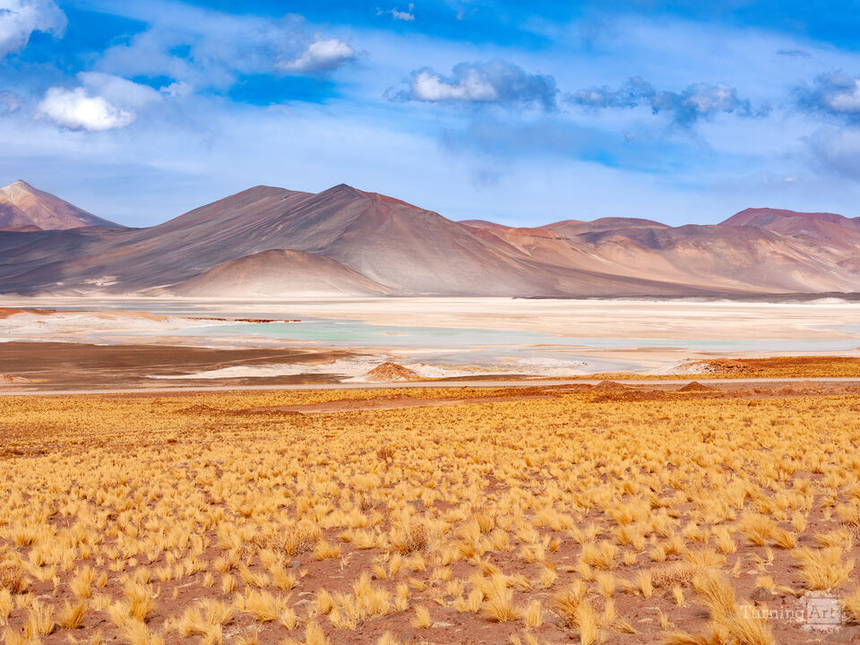 Lagoon in the Altiplano