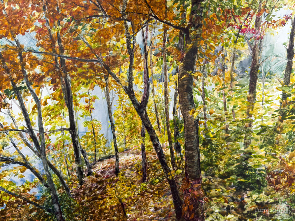 Van Buren State Park 2