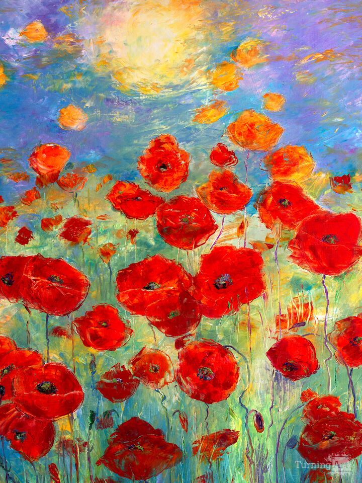 Poppies Under the Sun