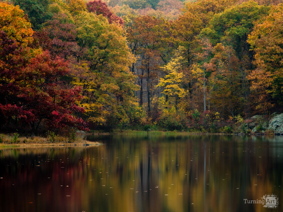 Autumn Reflections