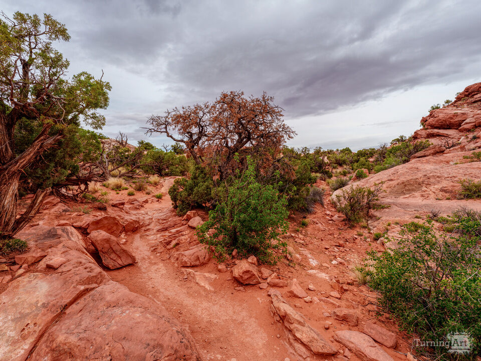 Upheaval dome Wilderness Hiking Trail
