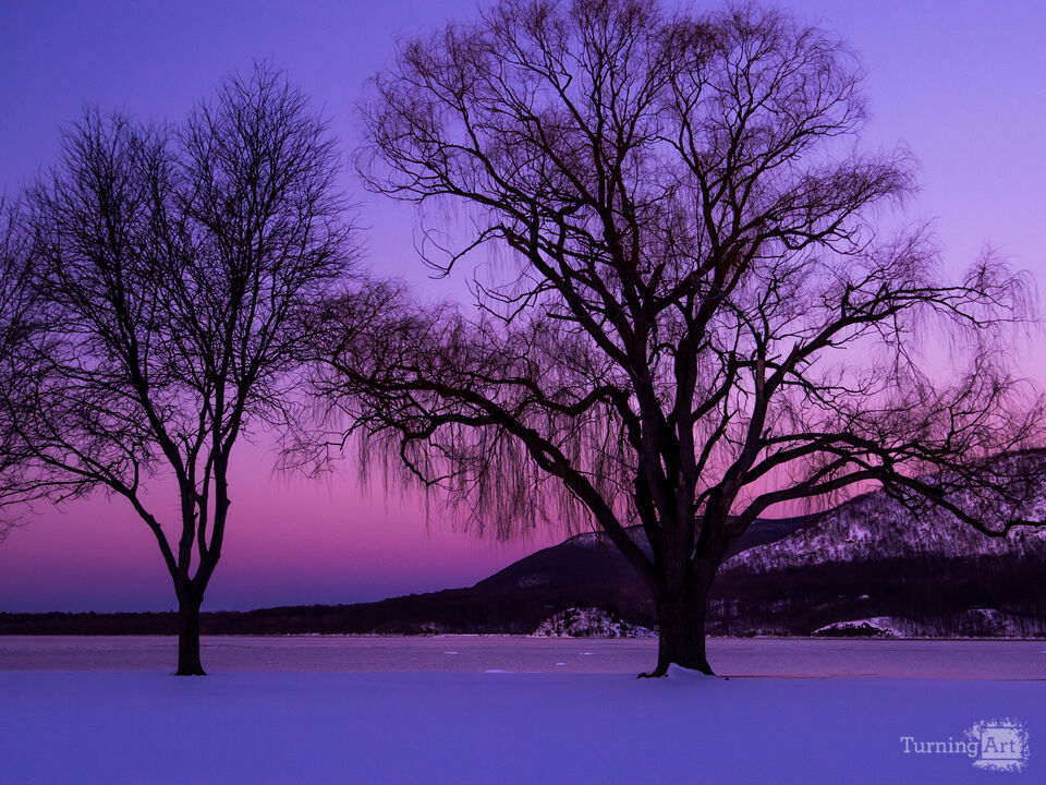 Under Violets Skies 1 