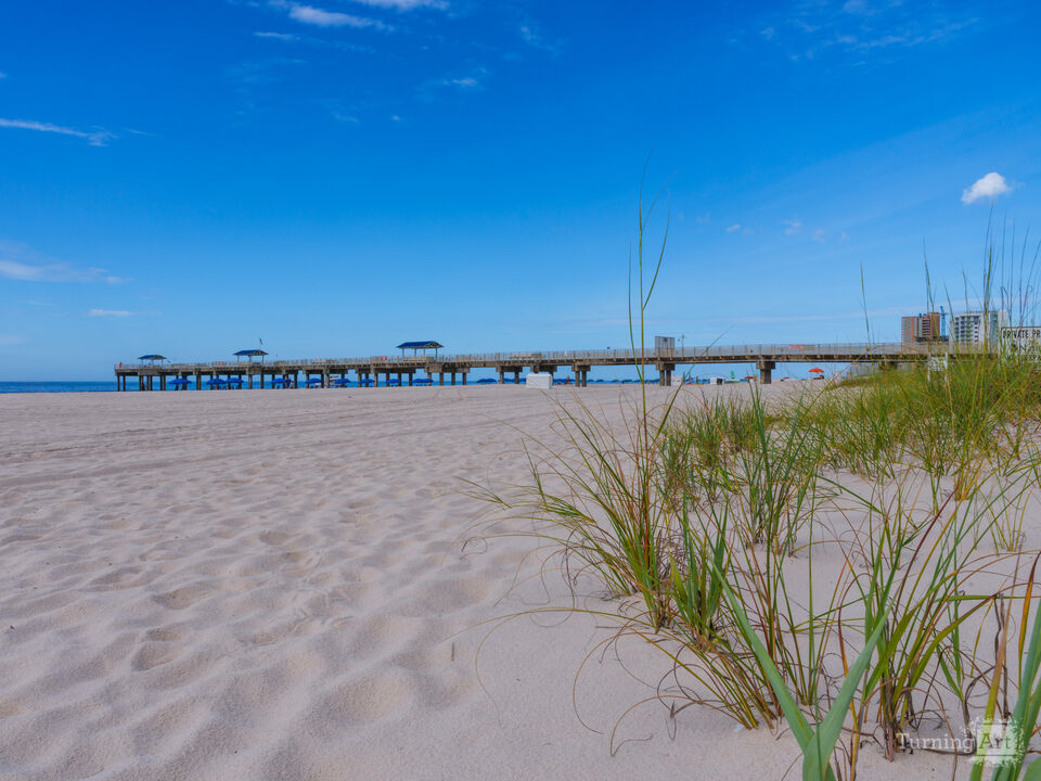Sea Oats And Pier Orange Beach