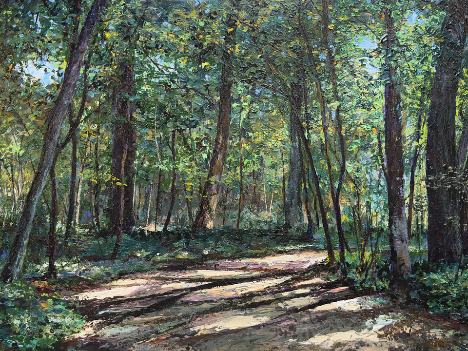 Hampton Hills MetroPark