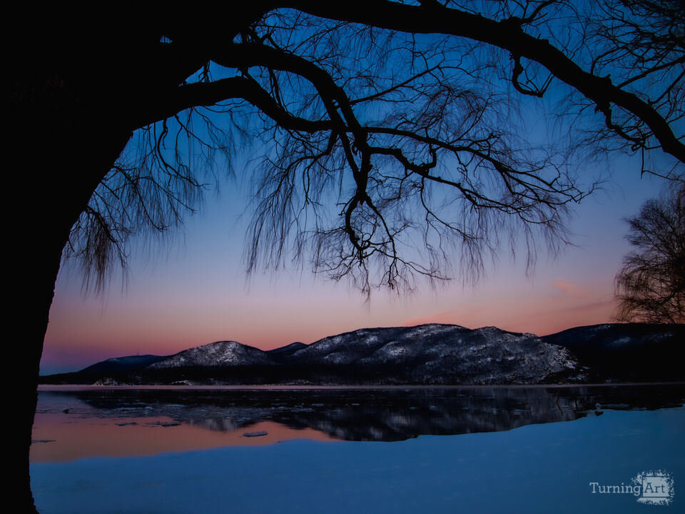 Under Violet Skies 3