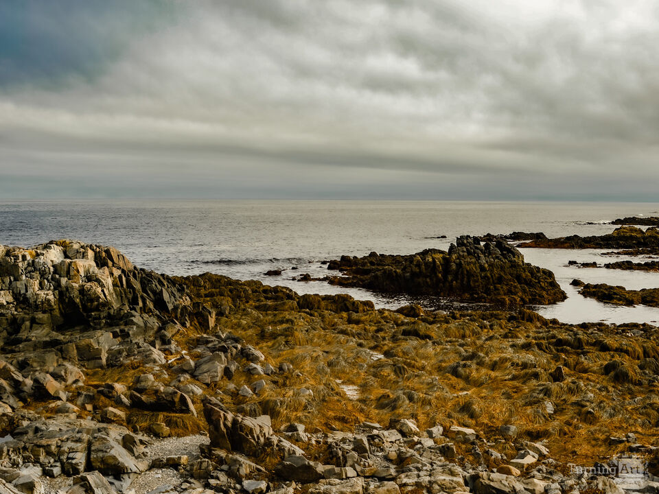 Rocky Shore 5
